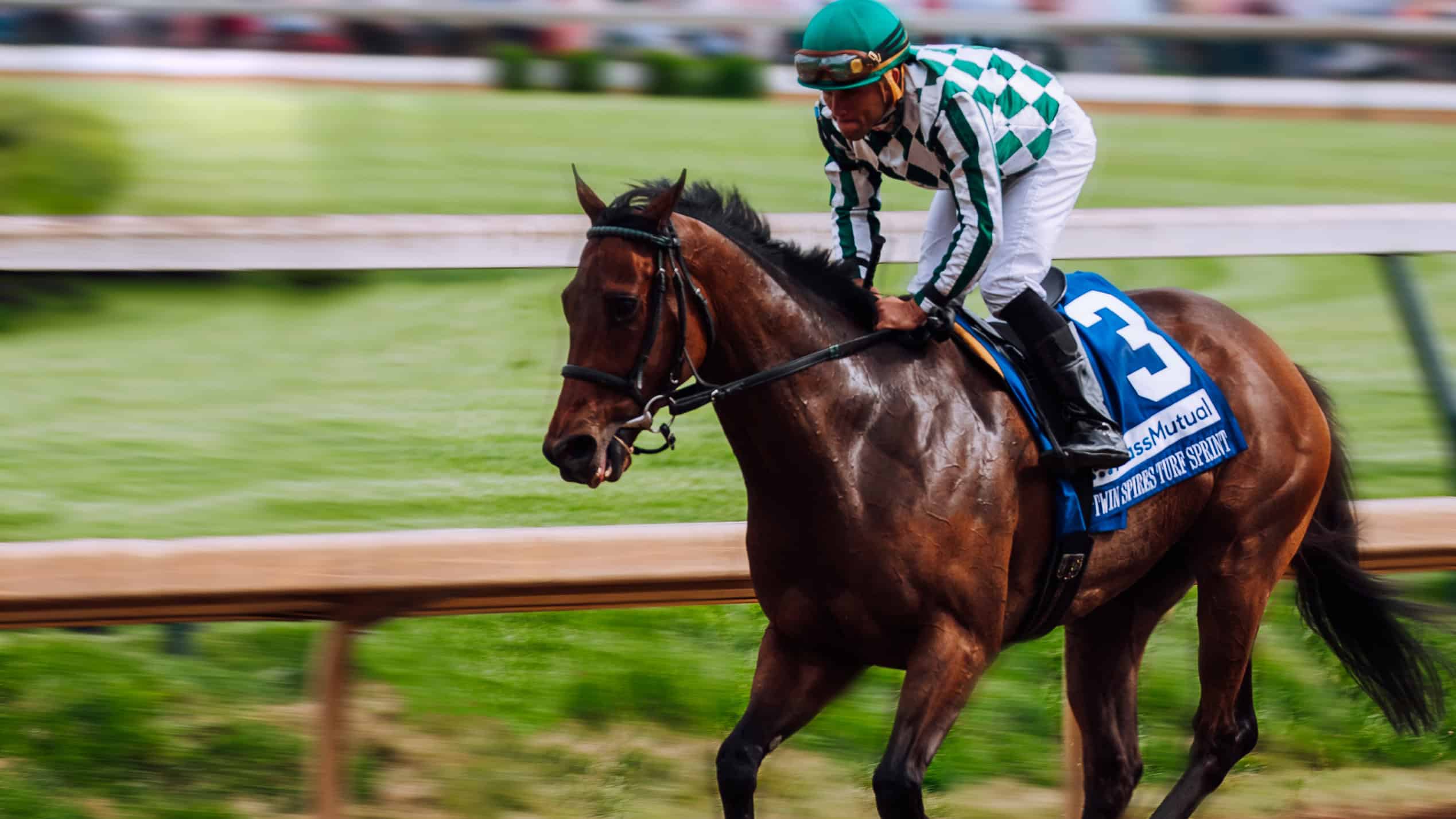Jockey riding a racehorse during a competitive event in the U.S.