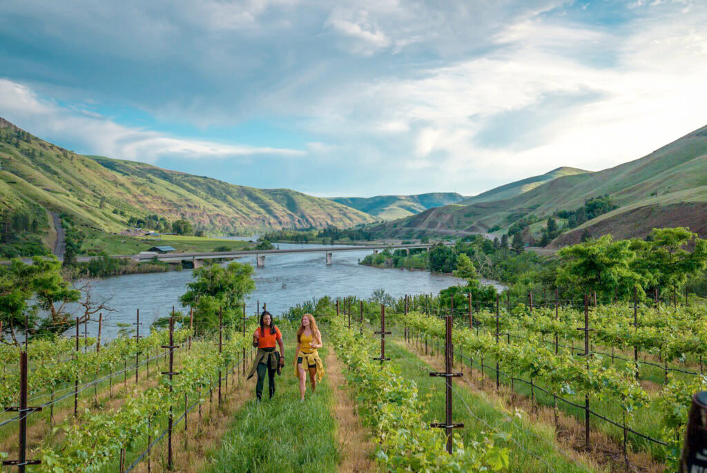 Two people walk through a vineyard on a hillside with a river, bridge, and rolling green hills in the background under a partly cloudy sky.