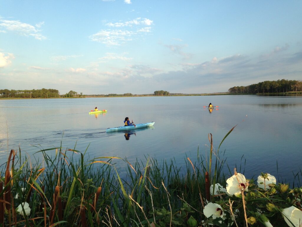 Three people kayaking on a calm lake, surrounded by greenery and flowers in the foreground, under a partly cloudy sky.