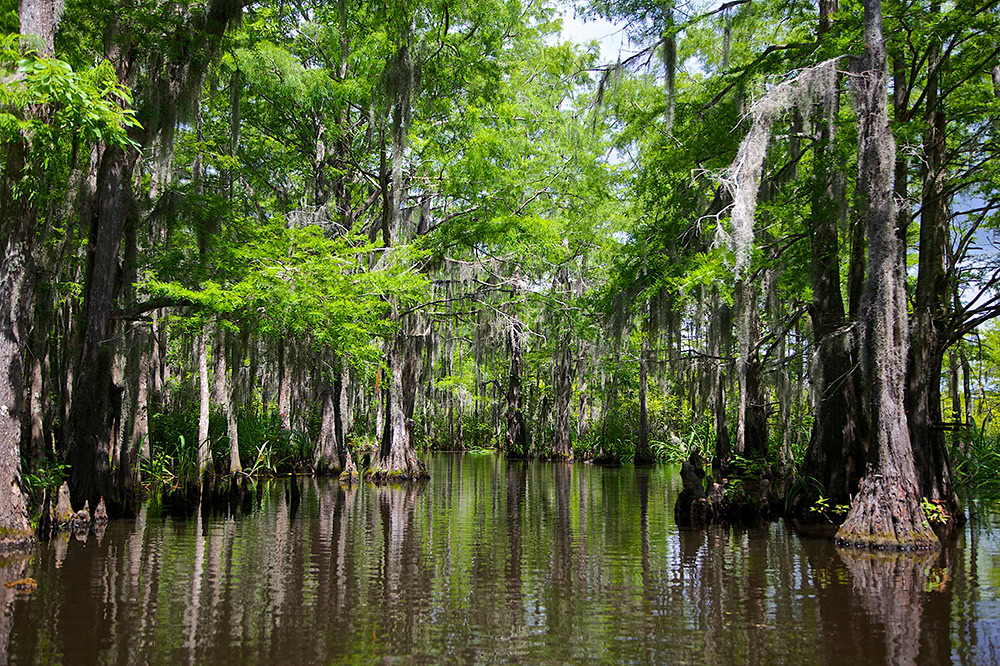 Northshore, Louisiana