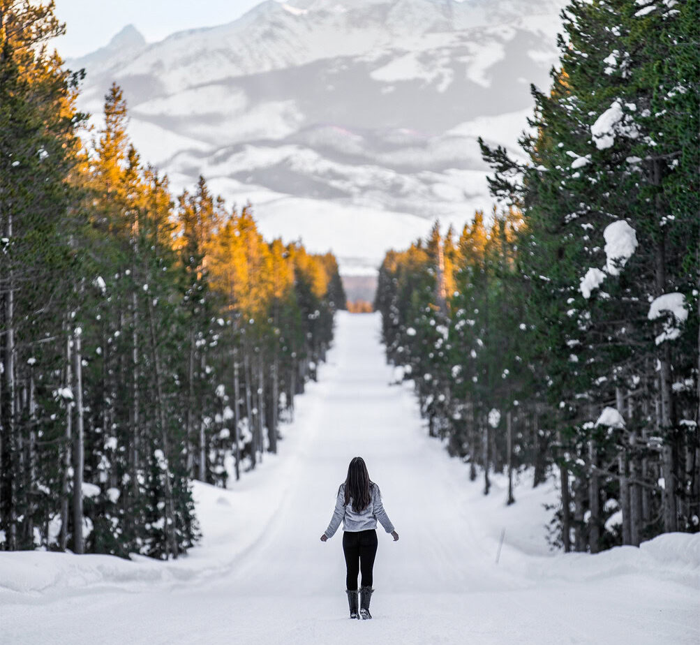 A person stands on a snowy road lined with tall pine trees, facing distant snow-covered mountains under a partly cloudy sky.